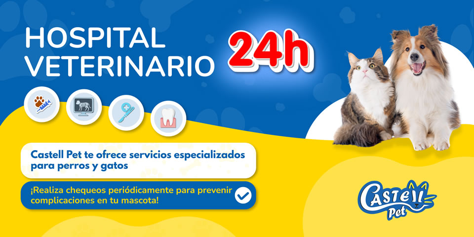 Hospital veterinario 24 Horas