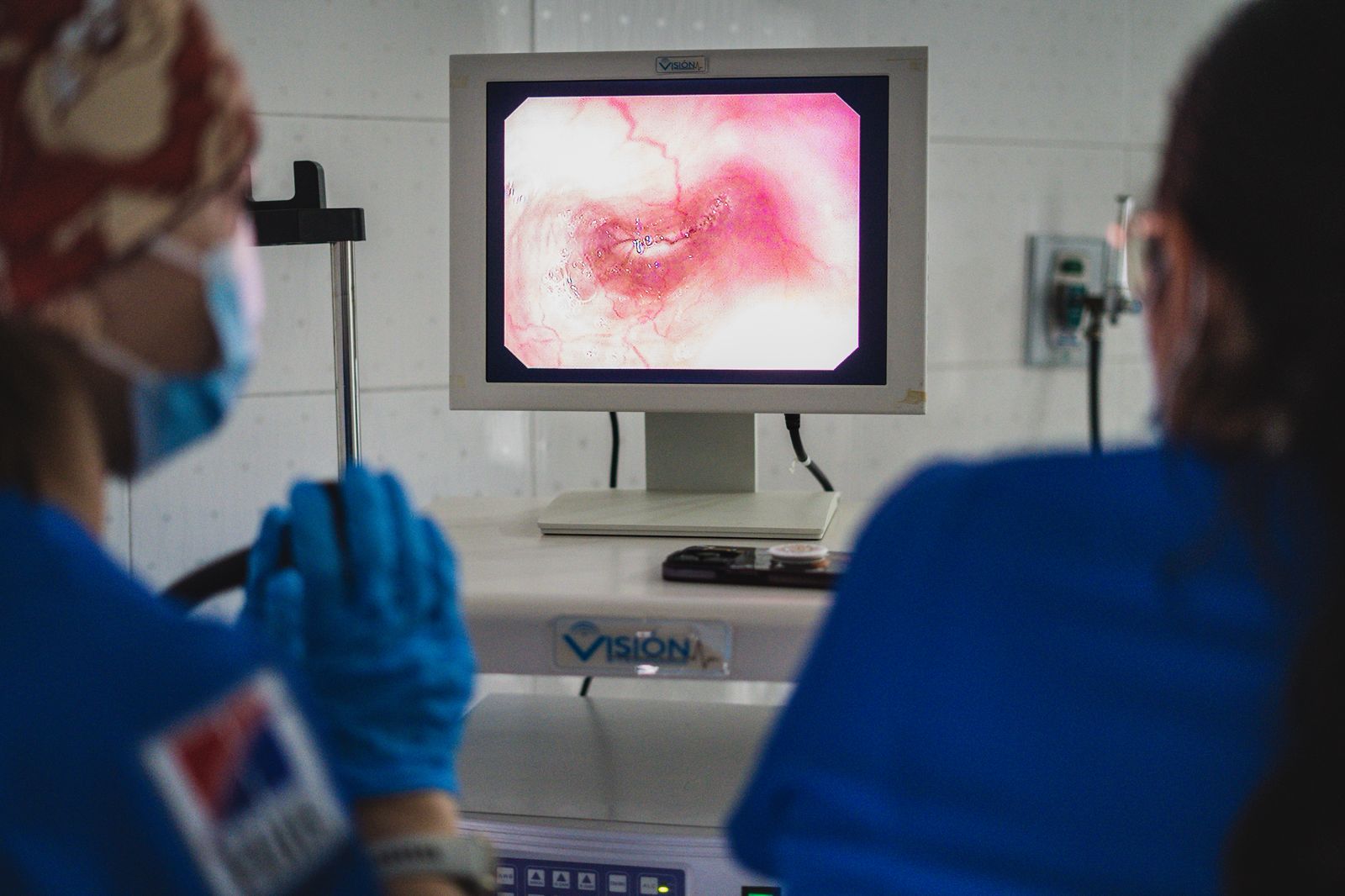 endoscopia perros y gatos