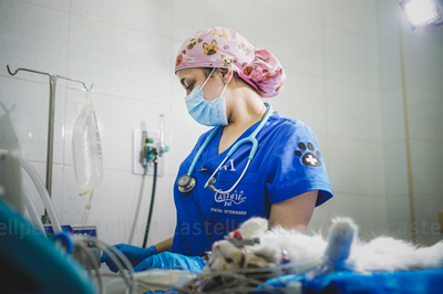 Urgencias veterinarias 24h