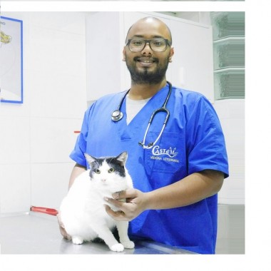 doc_arenas_veterinaria doc_arenas_veterinaria