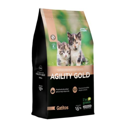 agility_gold_gatitos