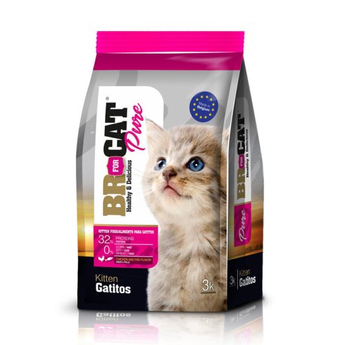 br_for_cats_gatitos