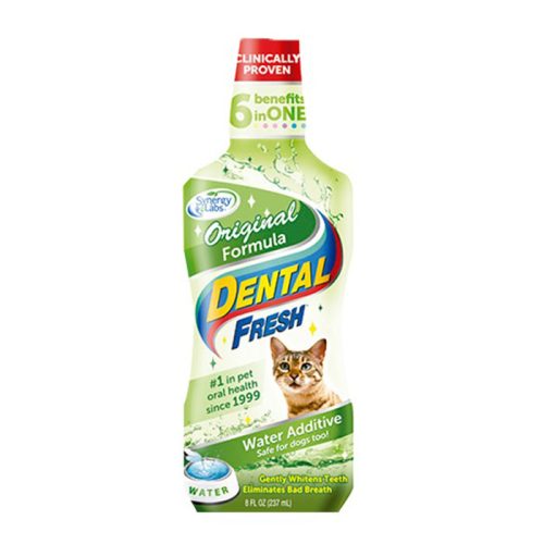 dental_fresh_gatos