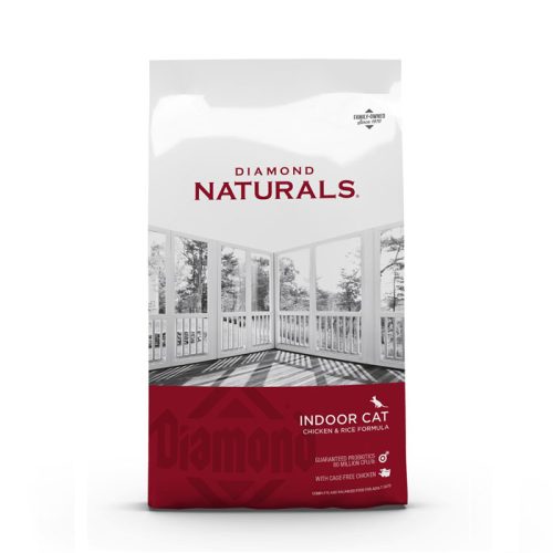 diamond_gatos_indoor