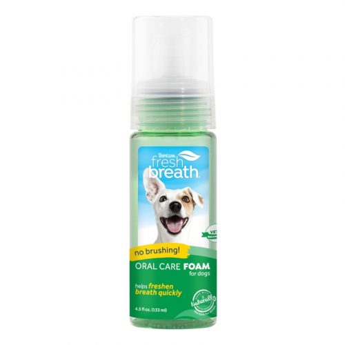 fresh_breath_foam_oral_care