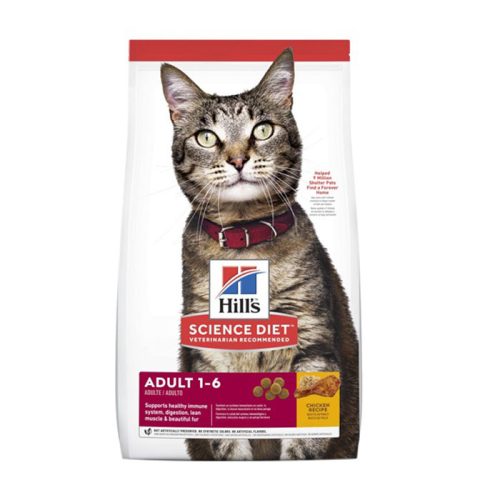 hills_gato_adulto_de_1_a_6_años