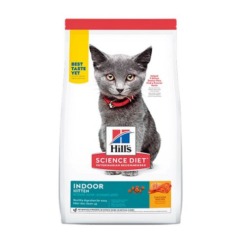 hills_gato_kitten_indoor