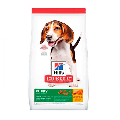 hills_perro_puppy