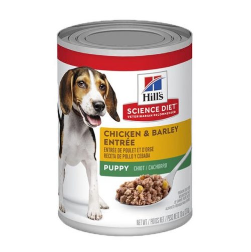 lata_hills_perro_puppy