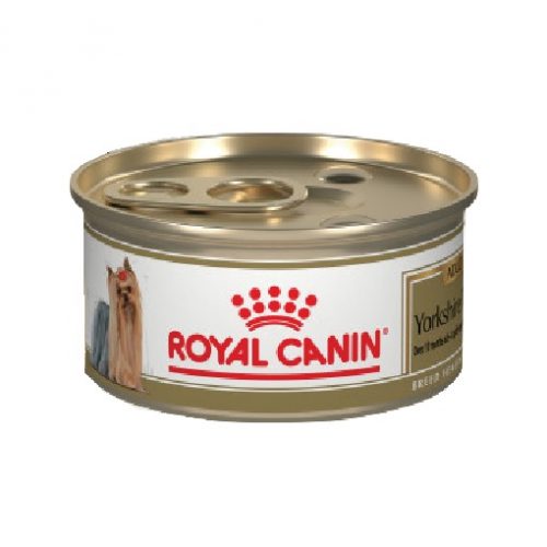 lata_royal_canin_yorkshire