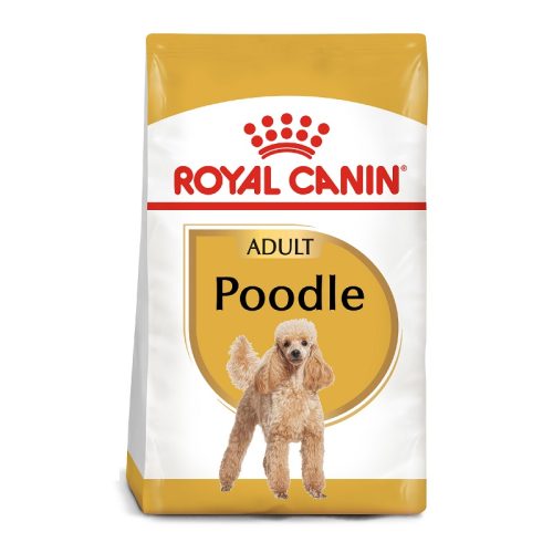 royal_canin_poodle_adulto